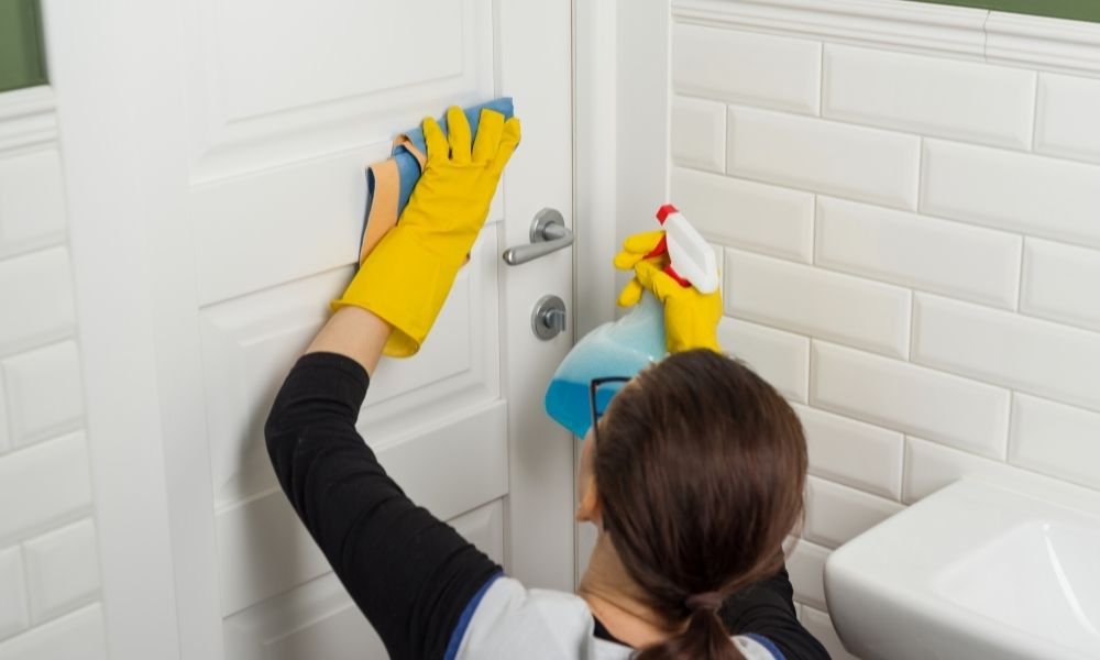 what do professional cleaning services do