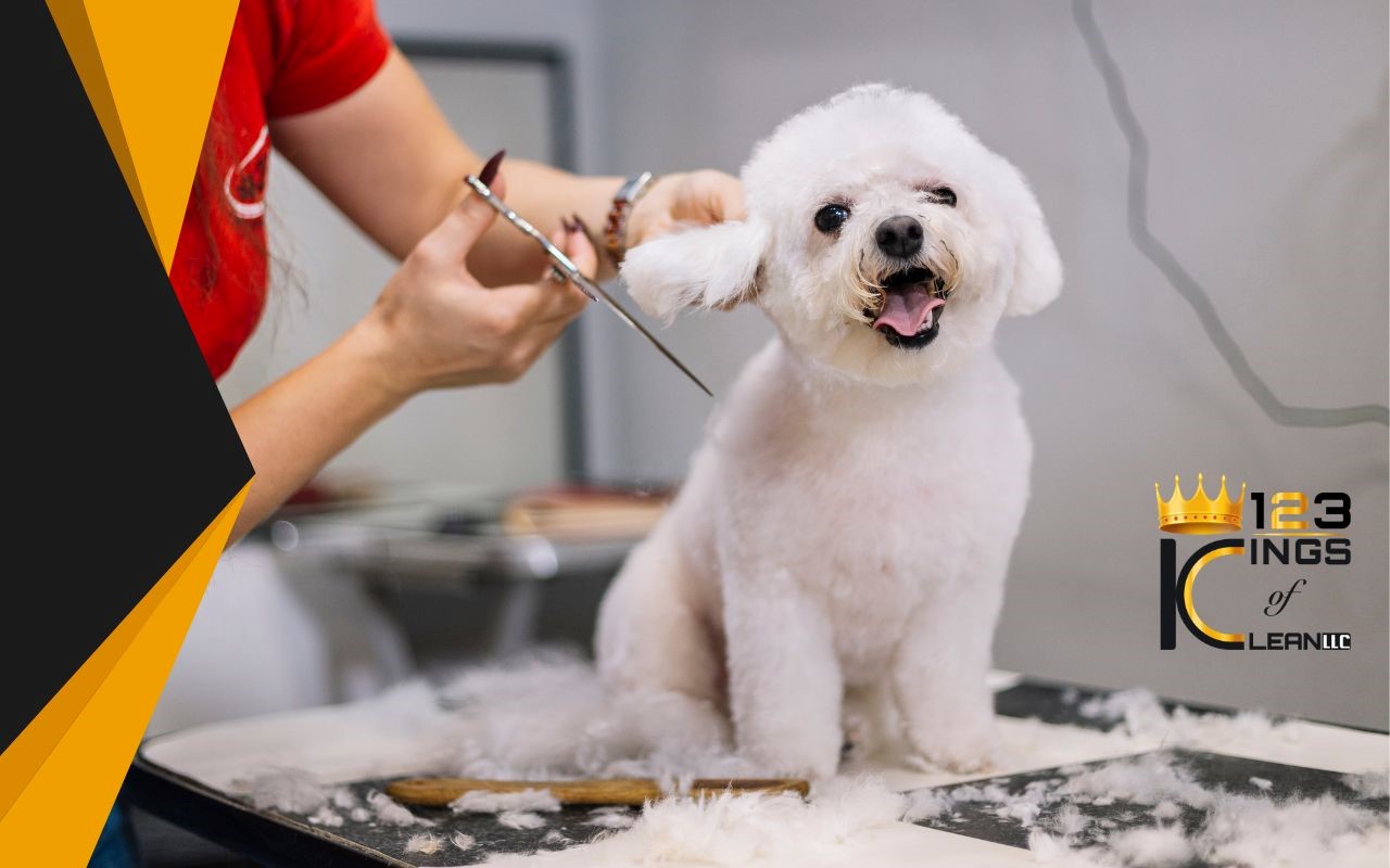 Groom regularly to keep your home clean