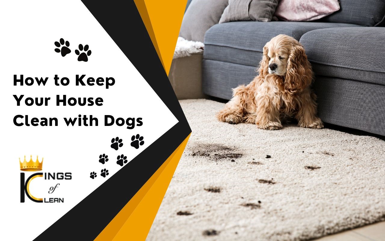 how-to-keep-your-house-clean-with-dogs-find-the-best-tips